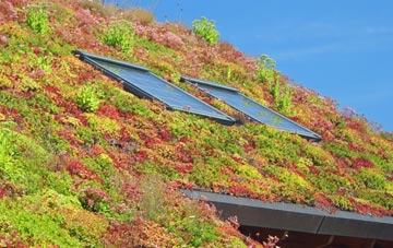 Slimbridge living roof systems